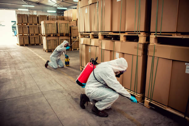 Best Pest Control Near Me  in Stewartville, AL