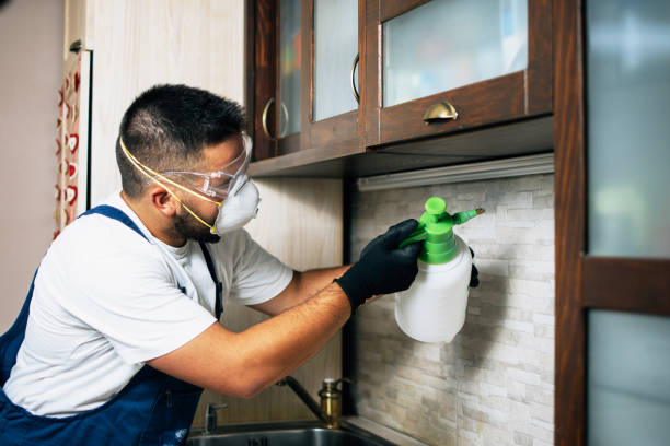 Best Pest Control for Restaurants  in Stewartville, AL