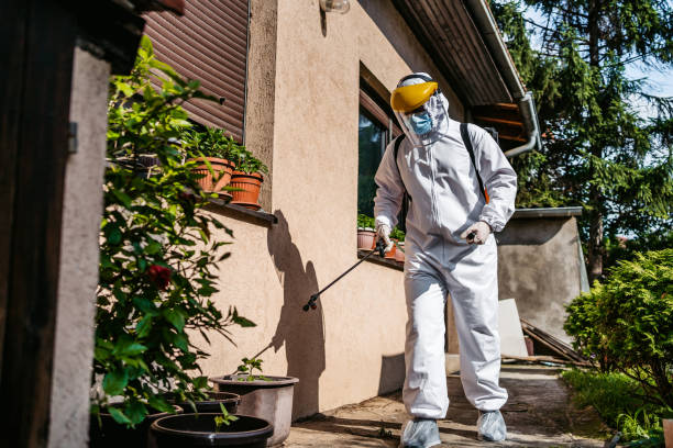 Best Affordable Pest Control Services  in Stewartville, AL