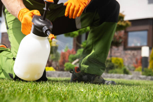 Best Commercial Pest Control Services  in Stewartville, AL