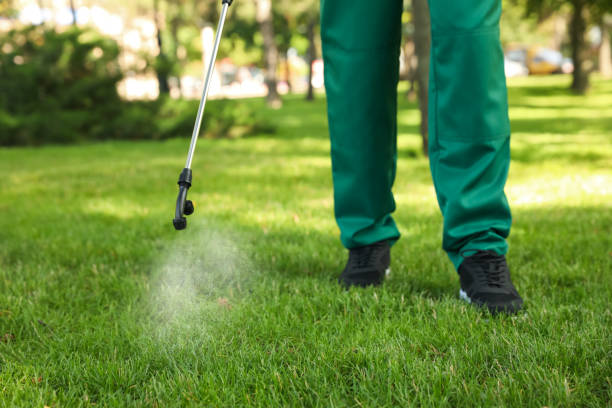 Best Wasp Removal Services  in Stewartville, AL