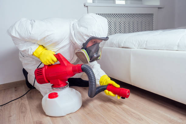 Best Pest Control Near Me in Stewartville, AL