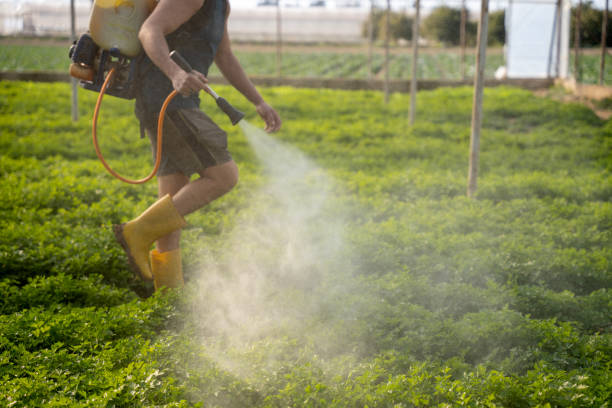 Best Pest Control Treatment  in Stewartville, AL