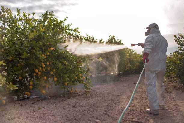 Best Affordable Pest Control Services  in Stewartville, AL