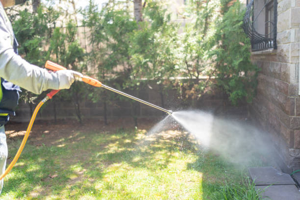 Professional Pest Control in Stewartville, AL
