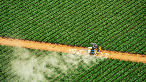 Pest Prevention Services in Stewartville, AL