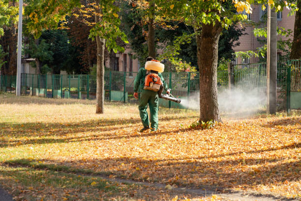 Best Pest Prevention Services  in Stewartville, AL