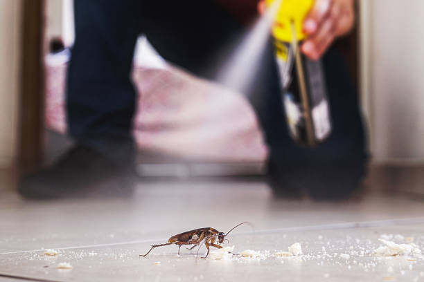 Pest Control for Restaurants in Stewartville, AL