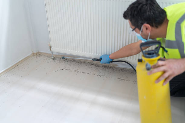 Best Exterminator Services  in Stewartville, AL