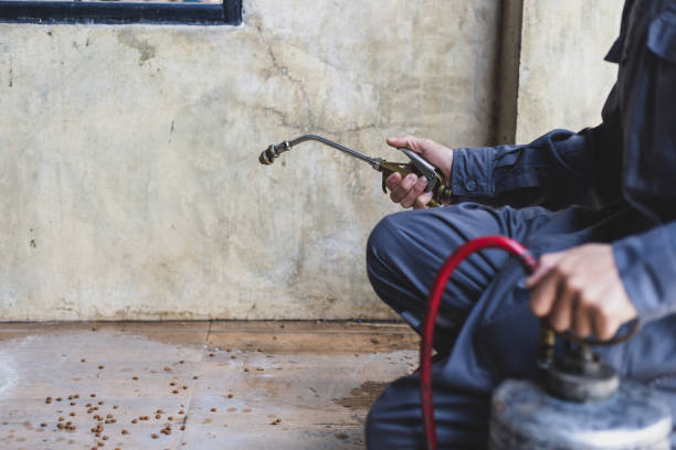 Best Best Pest Control Companies  in Stewartville, AL