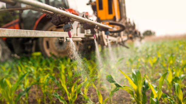 Best Pest Prevention Services  in Stewartville, AL